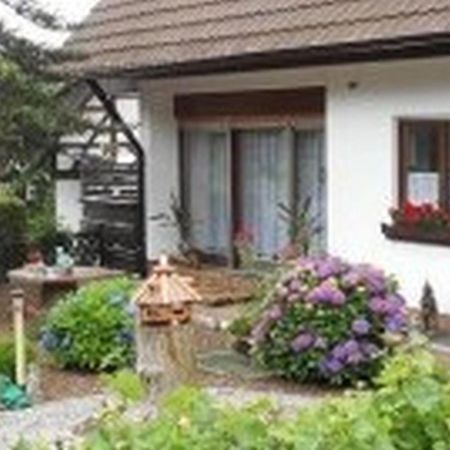 Pension Haus Monika Засбахвалден Екстериор снимка